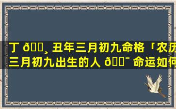 丁 🌸 丑年三月初九命格「农历三月初九出生的人 🐯 命运如何」
